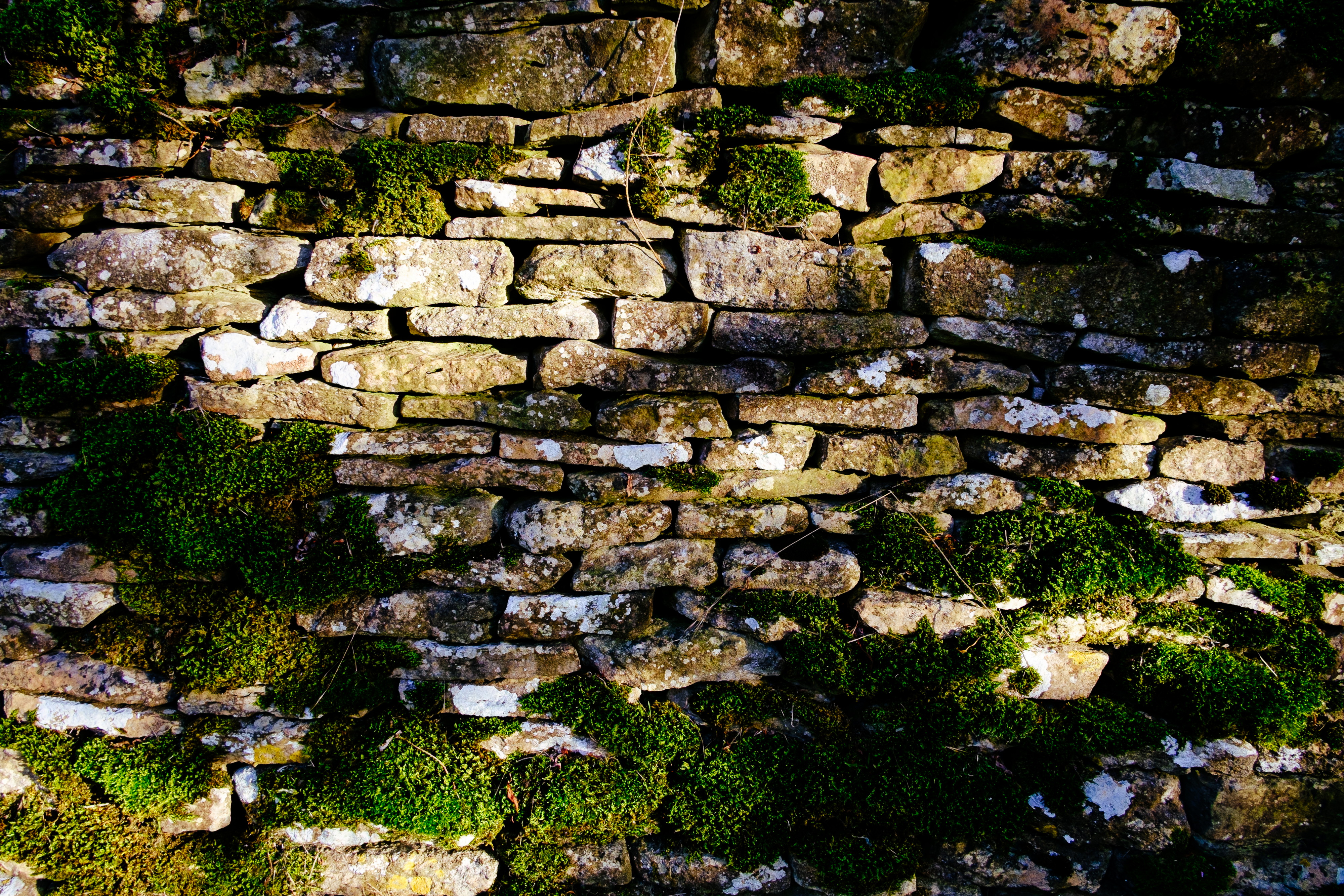 Cotswold stone wall